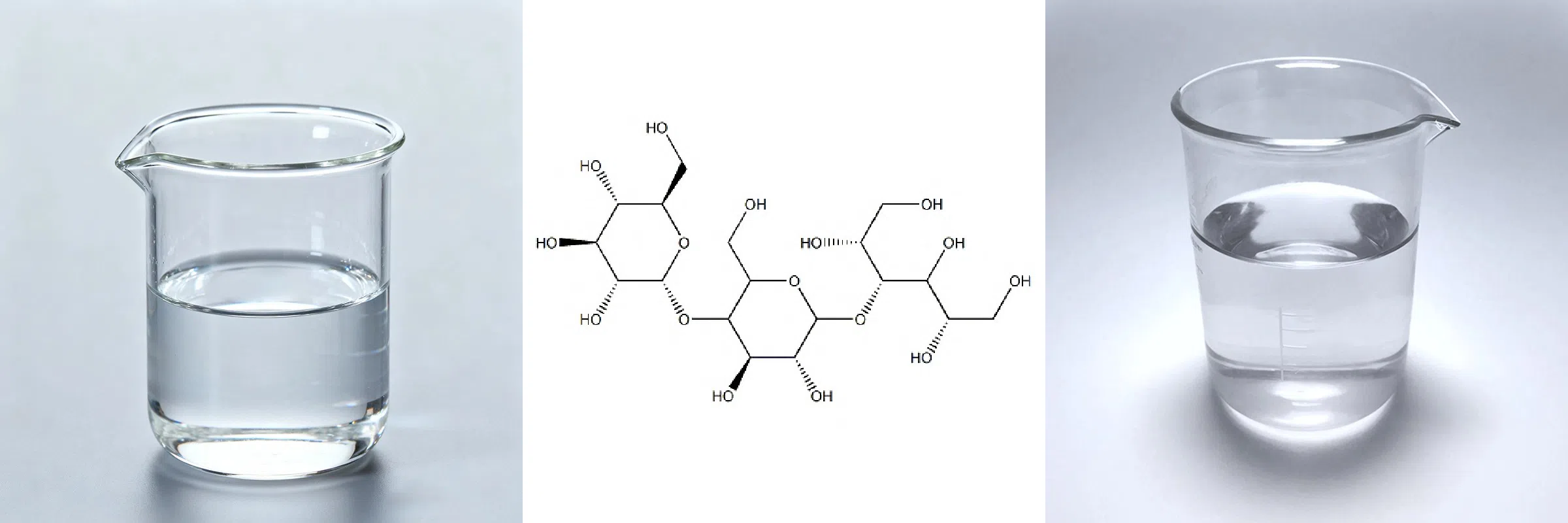 Hydrogenated Starch Hydrolysate