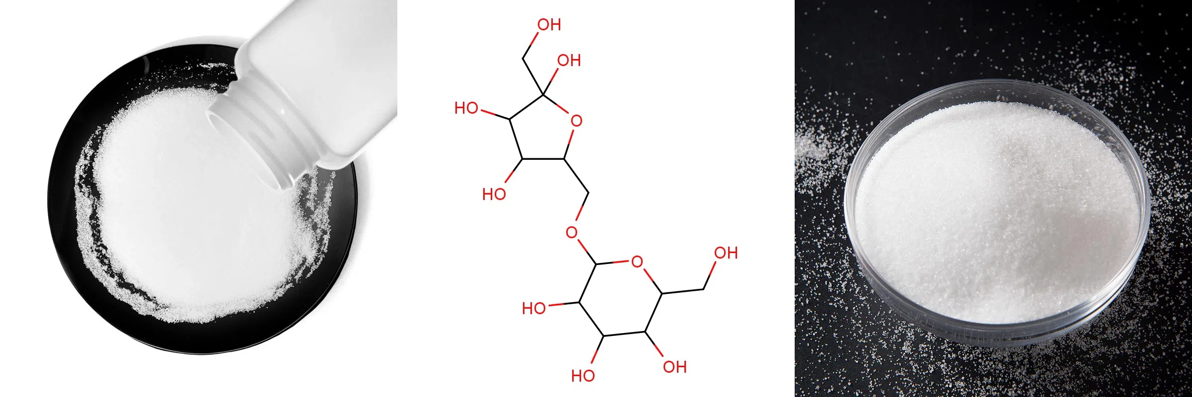 Palatinosio